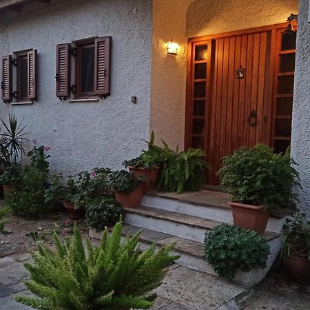 Nafpaktos Cottage By The Sea For Travelers And Dreamers! Εξωτερικό φωτογραφία