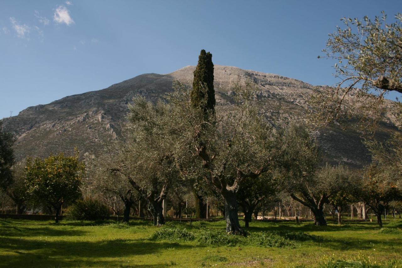 Nafpaktos Cottage By The Sea For Travelers And Dreamers! Εξωτερικό φωτογραφία