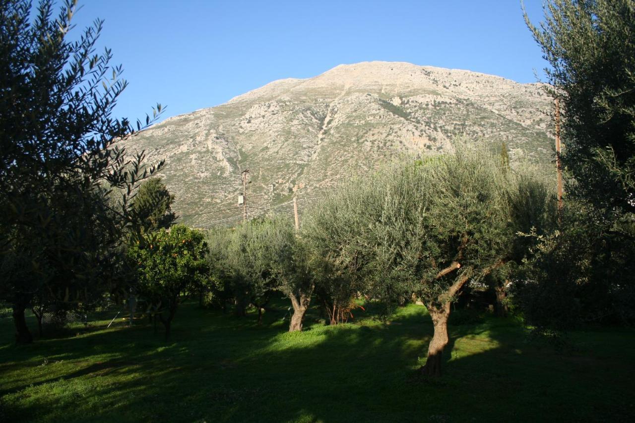 Nafpaktos Cottage By The Sea For Travelers And Dreamers! Εξωτερικό φωτογραφία