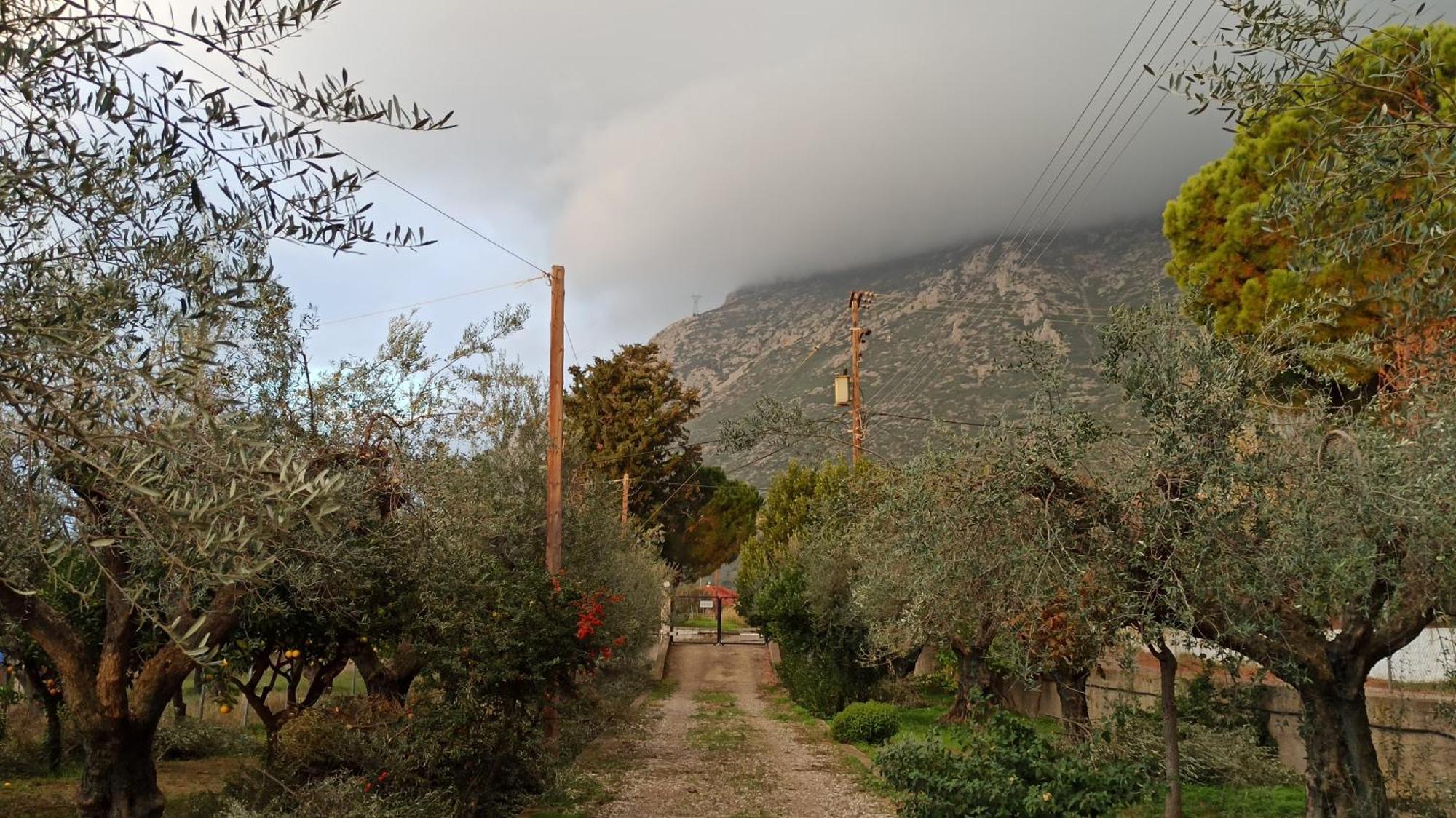 Nafpaktos Cottage By The Sea For Travelers And Dreamers! Εξωτερικό φωτογραφία