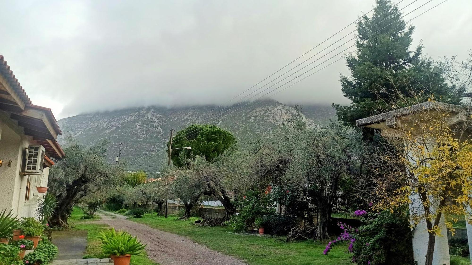 Nafpaktos Cottage By The Sea For Travelers And Dreamers! Εξωτερικό φωτογραφία