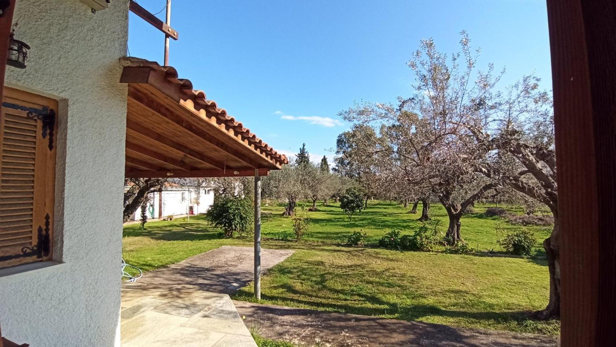 Nafpaktos Cottage By The Sea For Travelers And Dreamers! Εξωτερικό φωτογραφία