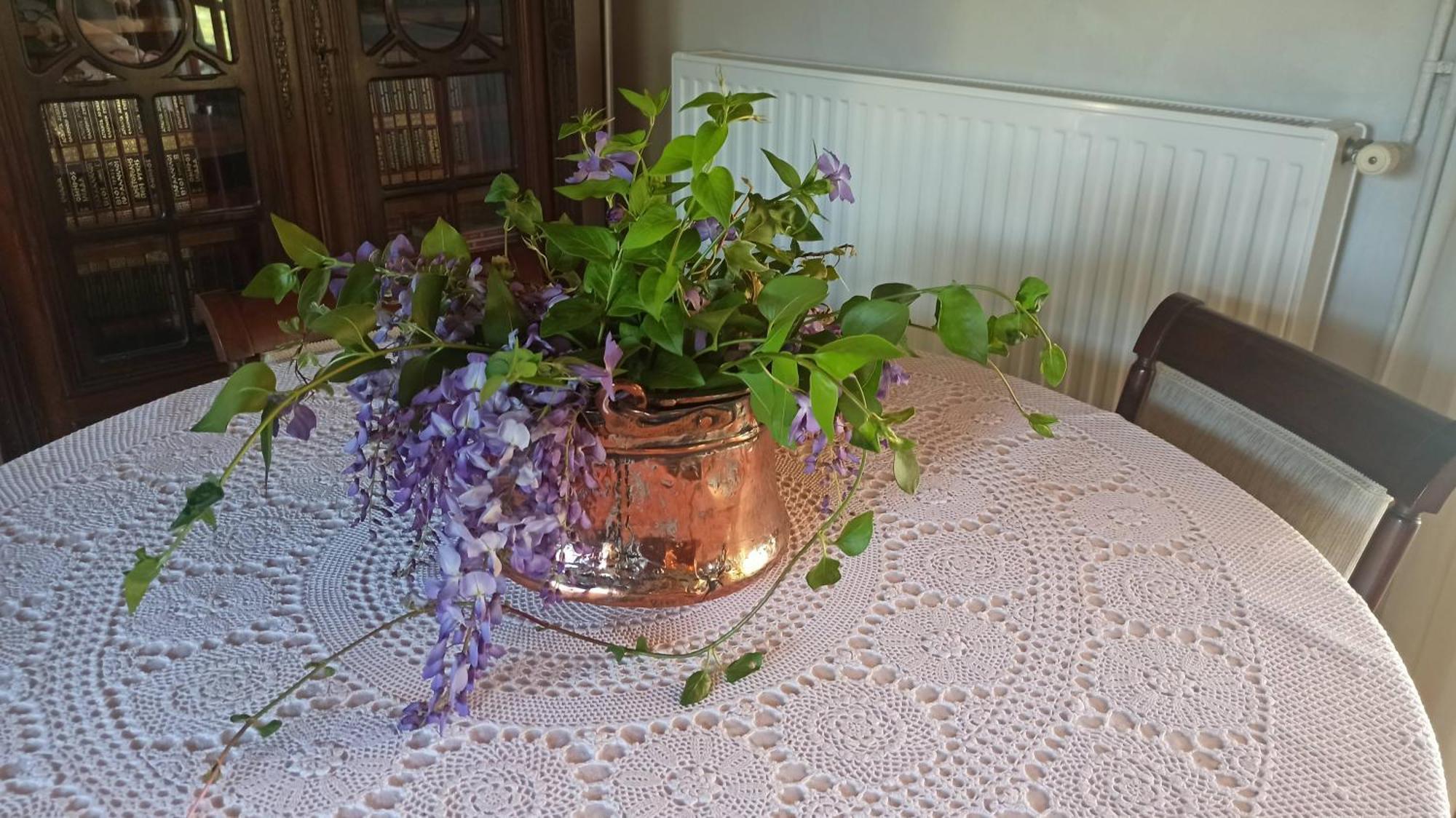 Nafpaktos Cottage By The Sea For Travelers And Dreamers! Εξωτερικό φωτογραφία