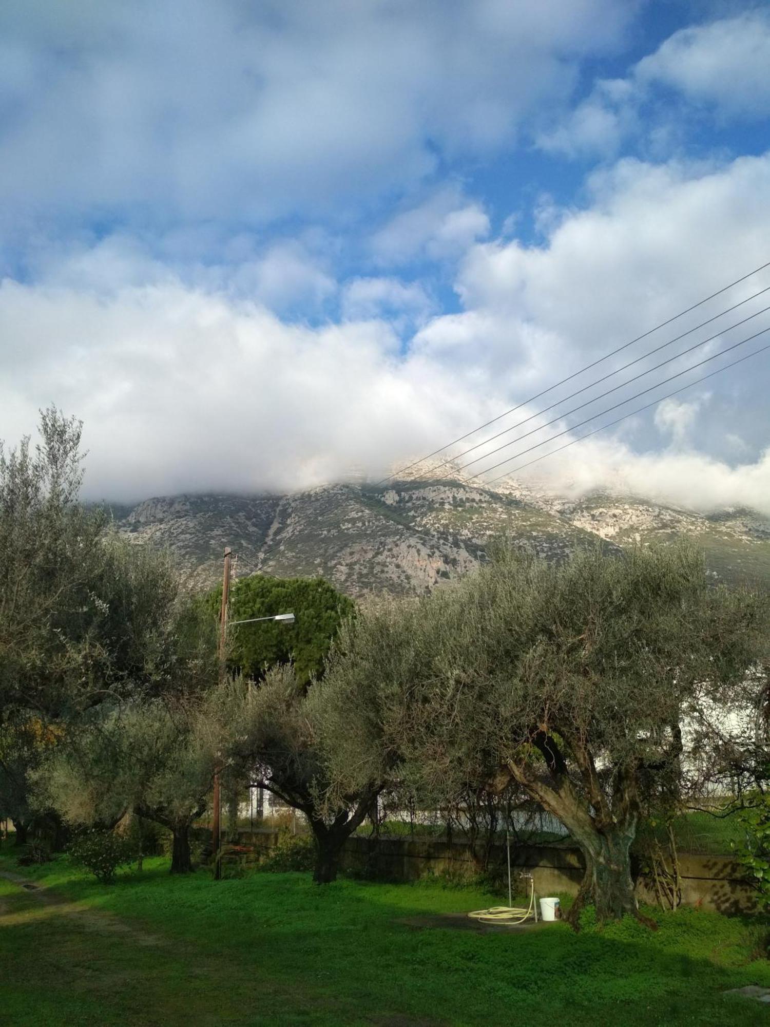 Nafpaktos Cottage By The Sea For Travelers And Dreamers! Εξωτερικό φωτογραφία