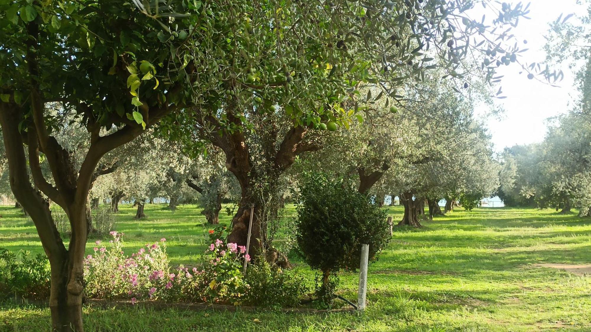 Nafpaktos Cottage By The Sea For Travelers And Dreamers! Εξωτερικό φωτογραφία